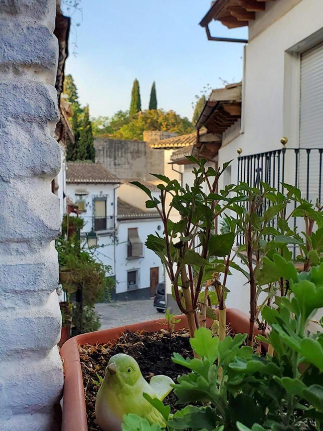 Villa Banos Del Agua Granada Esterno foto